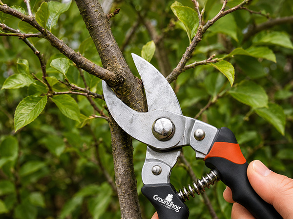 Pruning Tools