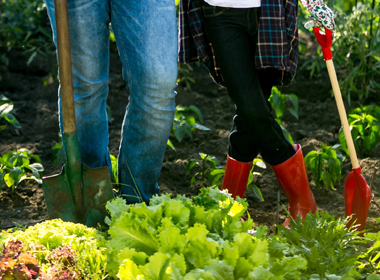 Trends in Intelligence, Greening